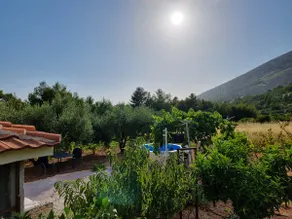 Matan's cottage Kula - Image 3
