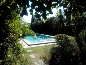 The Jujube Tree - Image 3