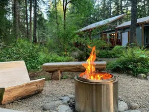 McKenzie cabin w/sauna near hot springs & trails - Image 2