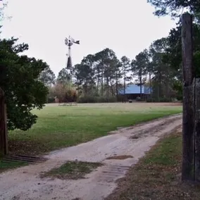 Groovy Acres - Image 3