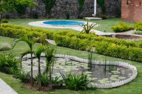 Las Orquídeas - Image 5