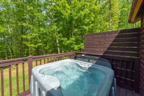 Mountain Breeze Cabin! Pet Goats/Hot Tub/15 to AVL - Image 2