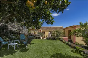 LA FAYA - Image 4