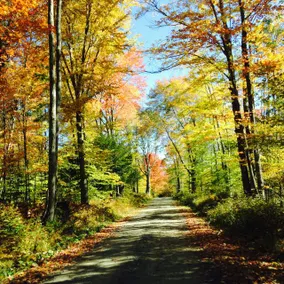 5br Mountain Retreat 130 acre Farm - Image 3