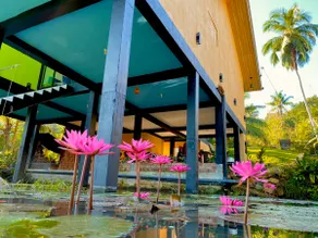 Olu Villa, Galle - Tropical Village Life - Image 3