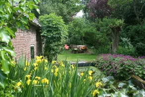 't Veldhoentje - B&B/Meeting room/Vacation home - Image 4