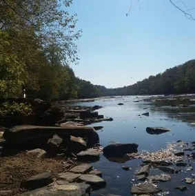 Summer Shoals Cabin #4. A quiet OFF GRID hideaway - Image 5