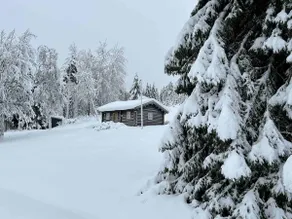 Cosy and charmy log cabin, deep into the forest - Image 2