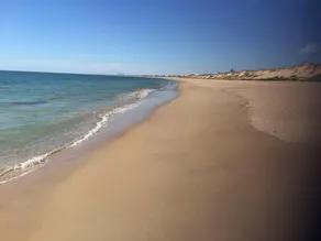 ⭐️ Beach ⭐️ Playground ⭐️ Pets ⭐️ All 100 metres away⭐️ - Image 4