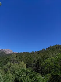 Disconnect in the Valley of Tus - Image 5