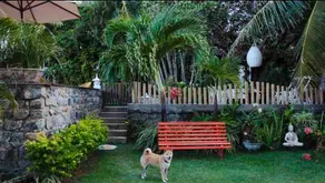 Casa Gracinha - Image 5