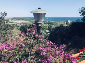 ANSEDONIA TUSCANY Sea View 7-minute walk to the sea - Image 4