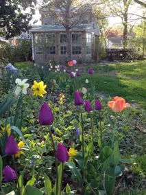 Cottage by the Bay in Rock Hall, MD - Image 5