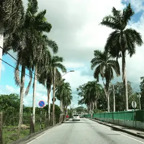 Private Studio w/ AC + Internet near UWI/Airport - Image 2