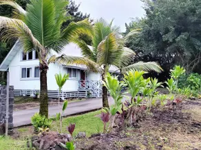 Mele Le'a A-Frame Paradise home for work or play! - Image 2