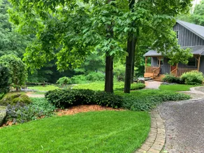 Luxury Cottage in the Woods - Image 2