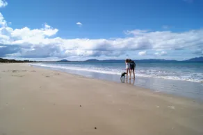 Designer beach house - Image 2