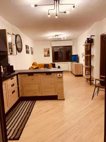 Brand new modern apartment with garage - Image 4