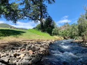 Lost World River Retreat - Image 3