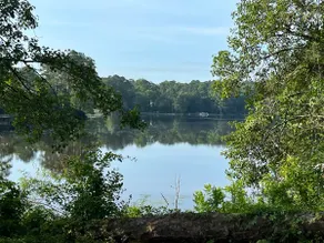 Cary Lake Guesthouse - Slice of Heaven - Image 2