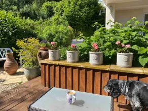 Pretty, Dog Friendly, Combe Martin annex for 2 - Image 5