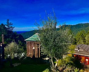 Ocean View Forest Retreat Beautiful Pristine Home - Image 3
