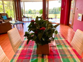 Spacious Nature Escape - Image 2