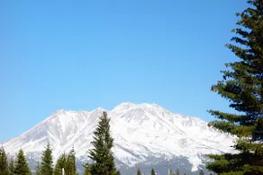 Mountain View Sanctuary - Image 2