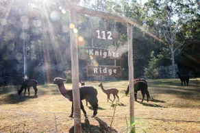 Knights Ridge respetuoso del medio ambiente Superficie y cabina - Image 2