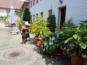 Organic farm with flair - apartment 150 m² - Image 2