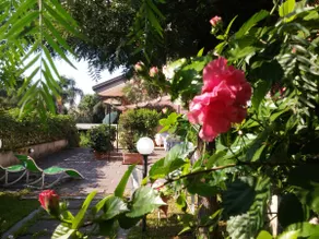 Acqua Chiara Elegant villa with garden with Etna view a stone's throw from the sea - Image 2