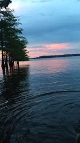111 Reasons Why **Toledo Bend** Near Cypress Bend - Image 5