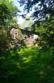 Charming, Peaceful Apartment Close to Downtown - Image 5