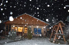 Cabana Coasta Tare, Valea Doftanei - Image 4