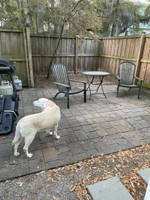 Spacious Guest House in Mt Pleasant *10 min to dtn - Image 2