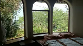 House in paradise garden - Image 4