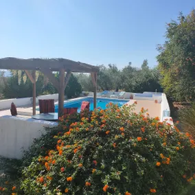 Casilla la Rambla 2, Log burner (logs included) Pool - Image 3