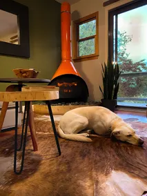+ the Cabin + @CPP - Hot Tub- Dog Friendly- View - Image 5