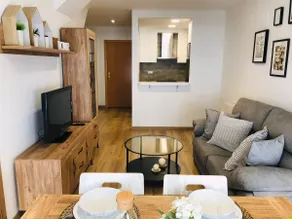 Penthouse in the Aragonese Pyrenees Panticosa - Image 5