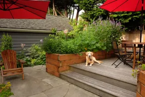 Daisy Mae's Guest Space - Phinney Ridge - Image 5