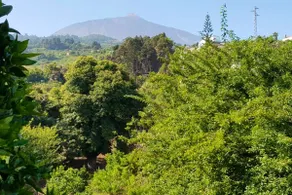 Villa Finca Los Castanos - Panoramic View - Image 4