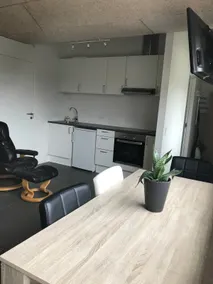 Apartment - 45 m2, 15 min. from Viborg city center. - Image 4