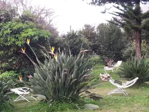 Casa Conigli, countryside swimming pool sea - Image 5