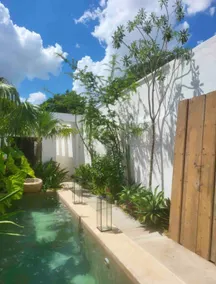 Interior Designer’s Centro Merida Retreat - Image 3