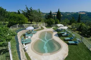 Tenuta Sant'Apollinare - Image 3