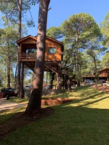 Treehouse in Mazamitla forest - Image 3
