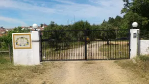I colori del Alentejo in Arraiolos - Image 5