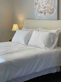 Historic Olde Charlestown - Nehls Suite - Image 3
