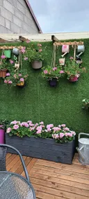 Gite o vert - Image 3