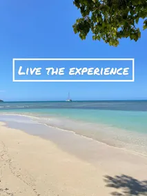 Paradise in Boquerón, Puerto Rico - Image 4